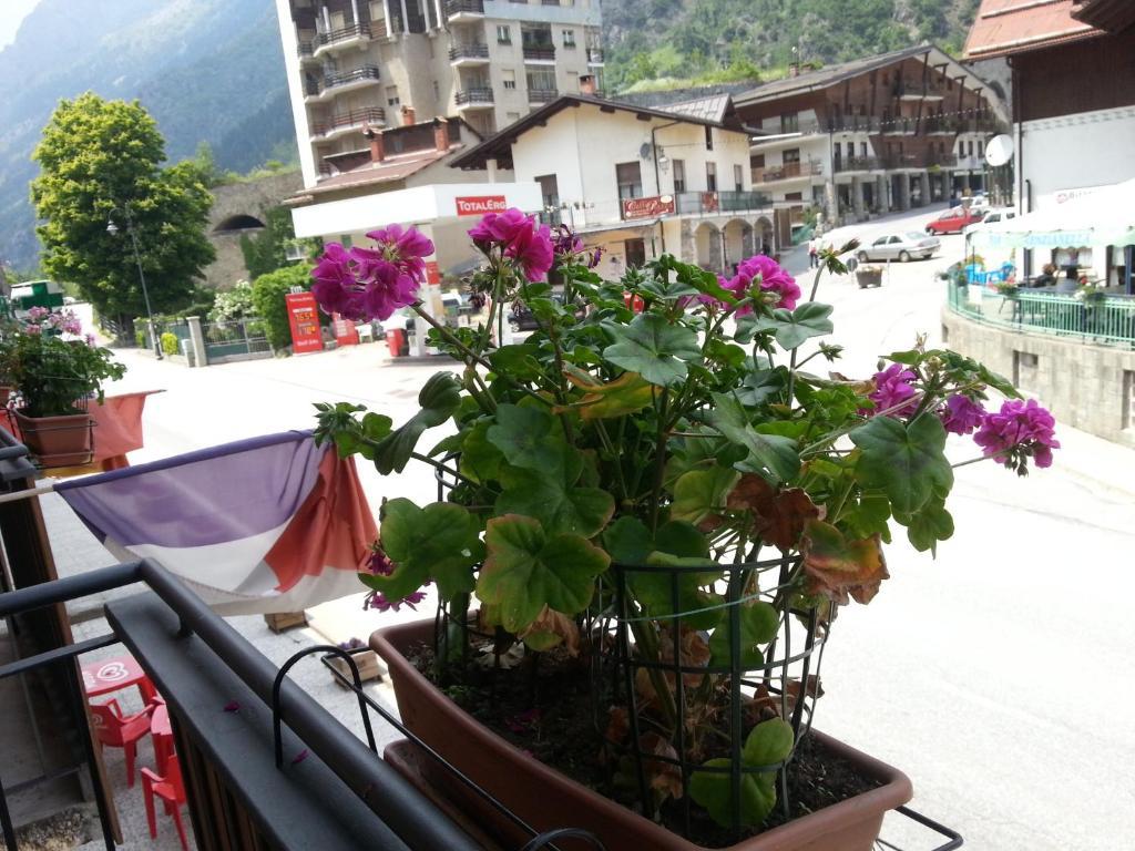 Chalet Monte Nebius Vinadio Rum bild